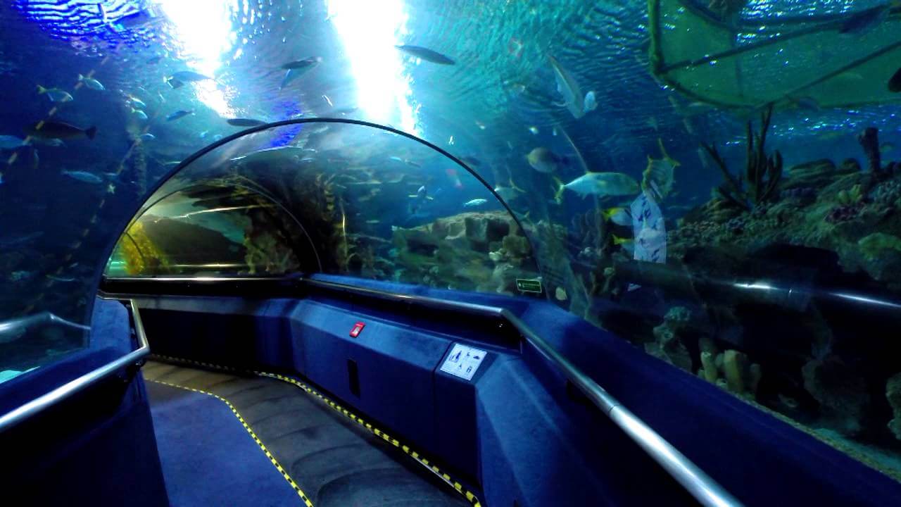 aquaria